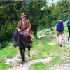 Transylvanian hills Transylvanian hills
