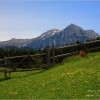 Transylvanian hills Transylvanian hills