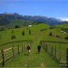 Transylvanian hills Transylvanian hills