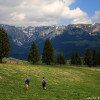 Hiking in Piatra Craiului and Bucegi mountains