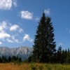 East side of Bucegi mountains
