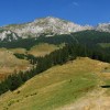 Gutanu area in Bucegi mountains