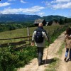 Siebenbürgischen Dörfer, Rumänien, Wandern durch das Märchenreich