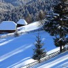 Snowshoeing in Transylvania