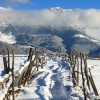 Snowshoeing in Transylvania