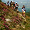 Randonnée en Roumanie, randonnée dans les montagnes Fagaras